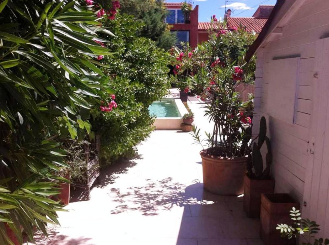 Soleil Bleu Hotell Sorède Exteriör bild